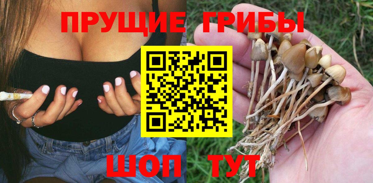 Вязьма  где найти наркотики  Вход с VPN  Галлюциногенные грибы мицелий  Псилоцибиновые грибы Magic Shrooms 